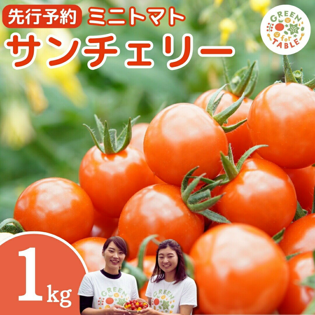 25位! 口コミ数「0件」評価「0」ミニトマト サンチェリー 1kg トマト 新鮮 野菜 農家直送 1キロ おすすめ おいしい 贈答 福島県 田村市 田村 限定30セット 株式･･･ 