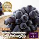 19位! 口コミ数「7件」評価「3.71」＼先行予約 ナガノパープル 1kg 9月中旬頃より発送／ 2房 大粒 冷蔵 高級 種無し 種なし ブドウ ぶどう 品種 果物 甘さ 大粒 美･･･ 