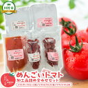 【ふるさと納税】 めんごいトマト加工品セット 5点 トマトカレー ドライトマト トマトピクルス めんごいとまとたむら アイメック栽培 トマト 加工品 詰め合わせ 福島県 田村市 堀越農園