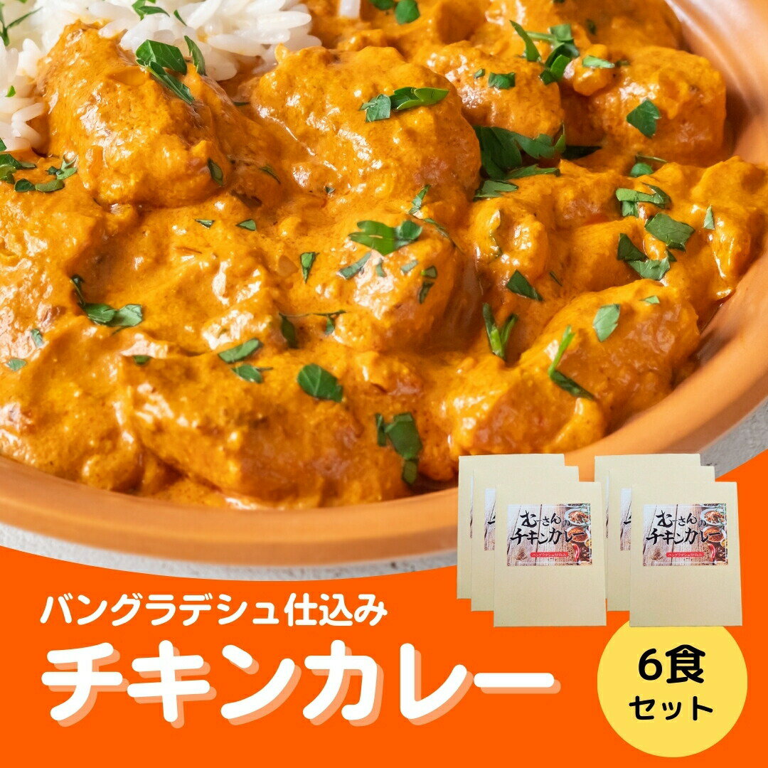 27位! 口コミ数「0件」評価「0」チキンカレー 6食セット 辛口 カレー レトルト パウチ 食品 アレンジ 非常食 常備食 保存 送料無料 緊急支援品 生活応援 コロナ支援 ･･･ 