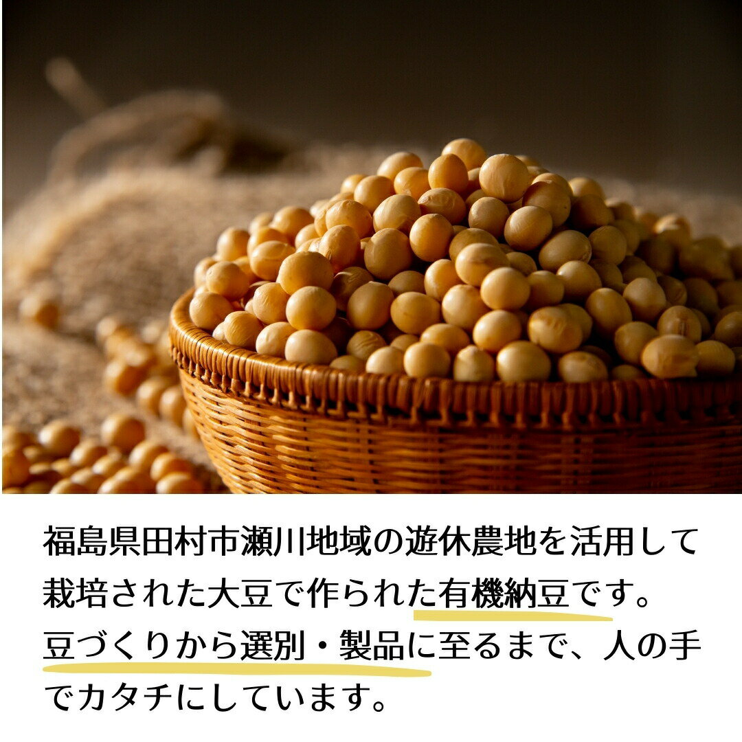 【ふるさと納税】せがわさん納豆 5パック (100g × 5パック) 発酵食品 健康 パック 小粒 大豆 送料無料 福島県 田村市 やってみっ会