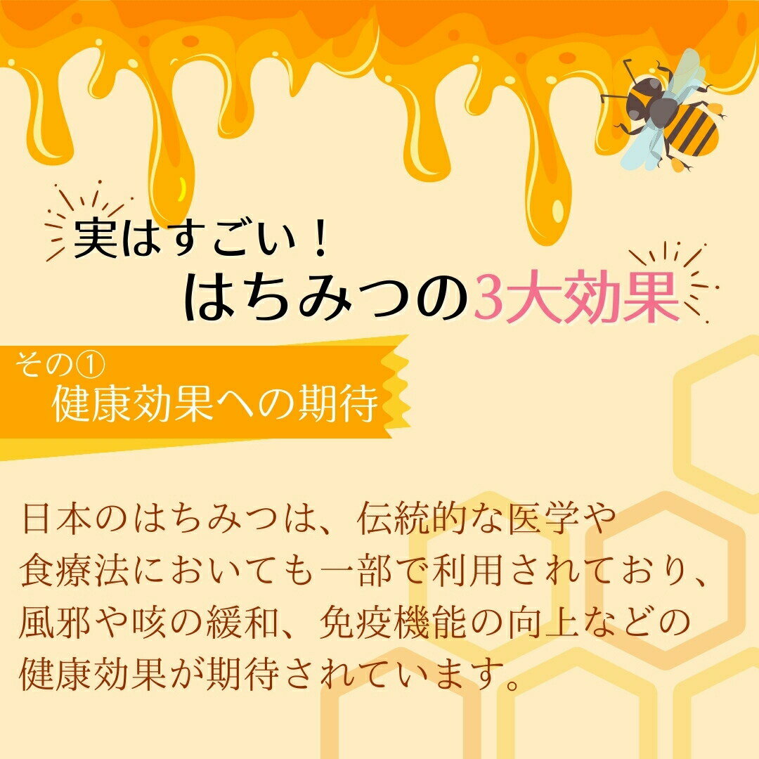 【ふるさと納税】うつしの里 日本蜜蜂はちみつ 1本 (450ml) 蜂蜜 ハチミツ 健康 レシピ 国産 効能 美容 栄養 福島県 田村市 菅野 豊