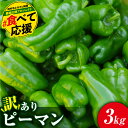 【ふるさと納税】 \先行予約 2025年発送/ 【訳あり】 ピーマン 3kg 農家直送 野菜 新鮮 BBQ 焼肉 国産 おすすめ 送料無料 緊急支援品 生活応援...