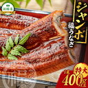 【ふるさと納税】 サイズが選べる 国産 ジャンボ 福うなぎ 1尾 特大 大 中 小 400g 350g 300g 250g 魚 養殖 ウナギ 鰻 肉厚 冷凍 ギ...