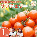 【ふるさと納税】ミニトマト サンチェリー 1kg 先行予約 ミニトマト サンチェリー 1kg 2025年7月発送 トマト 新鮮 野菜 農家直送 1キロ 人気 お...