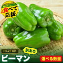 【ふるさと納税】 農家さん応援! 【訳あり】 ピーマン 1kg 2kg 選べる内容量 JGAP取得 農家直送 冷蔵便 野菜 新鮮 BBQ 焼肉 国産 おすすめ 送料無料 緊急支援品 生活応援 コロナ支援 福島県 田村市 株式会社Mファーム