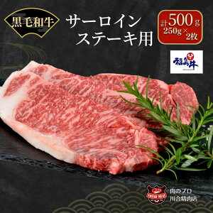 【ふるさと納税】川合精肉店 黒毛和牛(福島牛) サーロインステーキ 用500g TC0-9