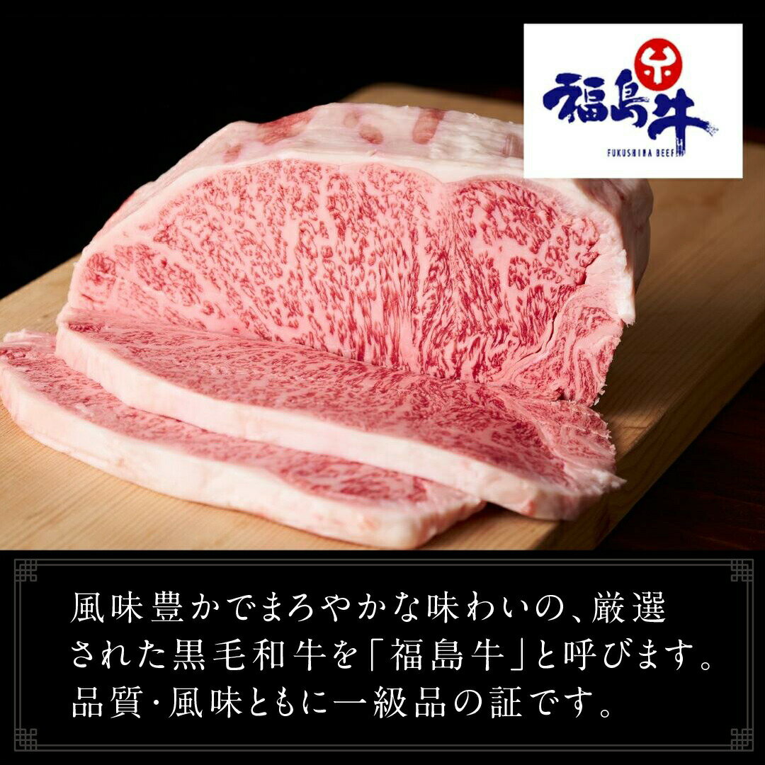 【ふるさと納税】 自家製 和牛入り ハンバーグ 10個 セット 小分パック 冷凍保存 肉 牛肉 おかず お弁当 ジューシー ランキング ギフト 贈答 プレゼント 熨斗 のし 牛 豚 鶏 羊 福島県 田村市 川合精肉店 3