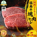 【ふるさと納税】塊肉 ヒレ 5kg スパイス付き ブロック肉 ひれ ヒレカツ ひれかつ ステーキ BBQ ビーフ チャンピオンスパイス 高級肉 冷凍 保存 肉 ...
