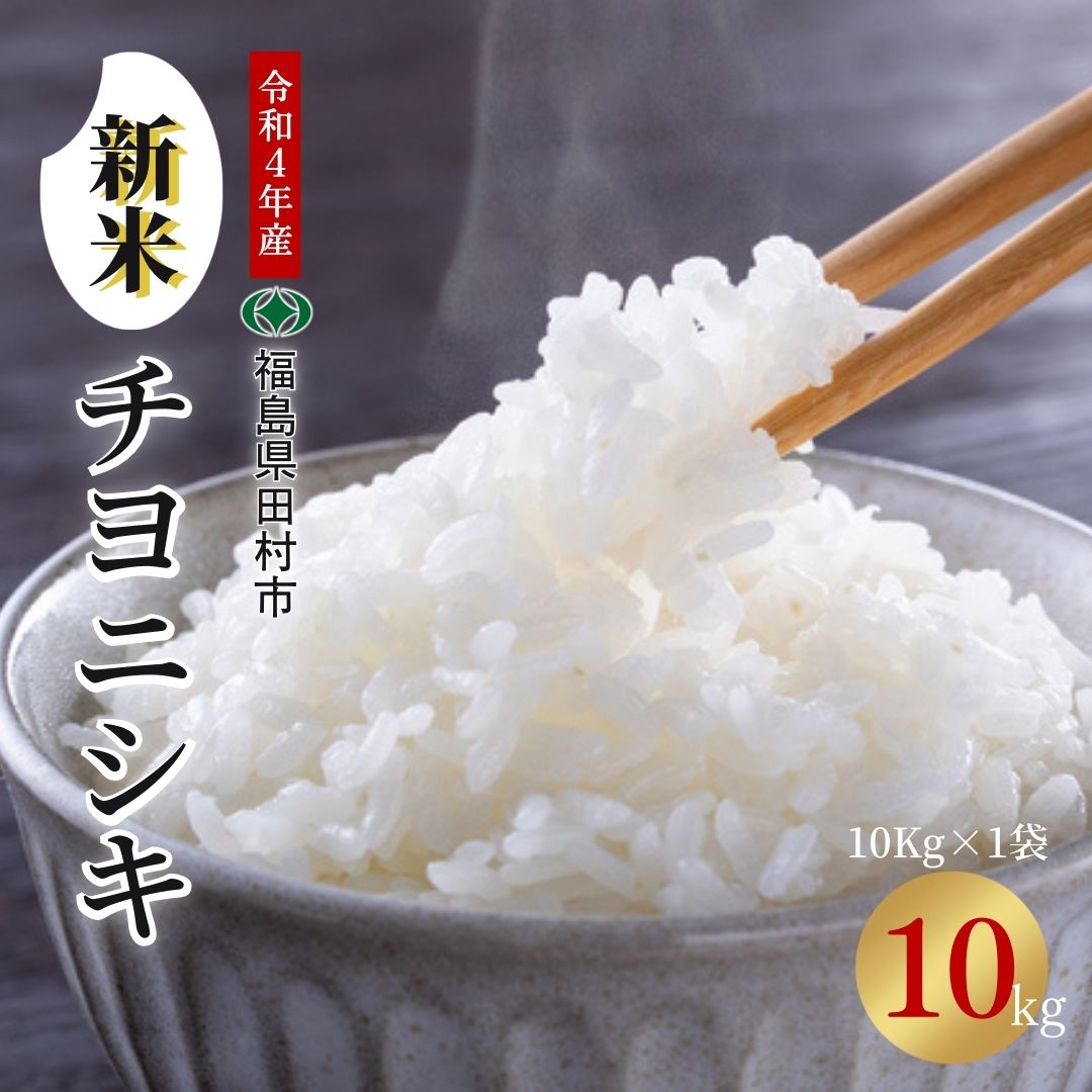 【ふるさと納税】新米【先行予約】令和4年産チヨニシキ10kgTB0-97