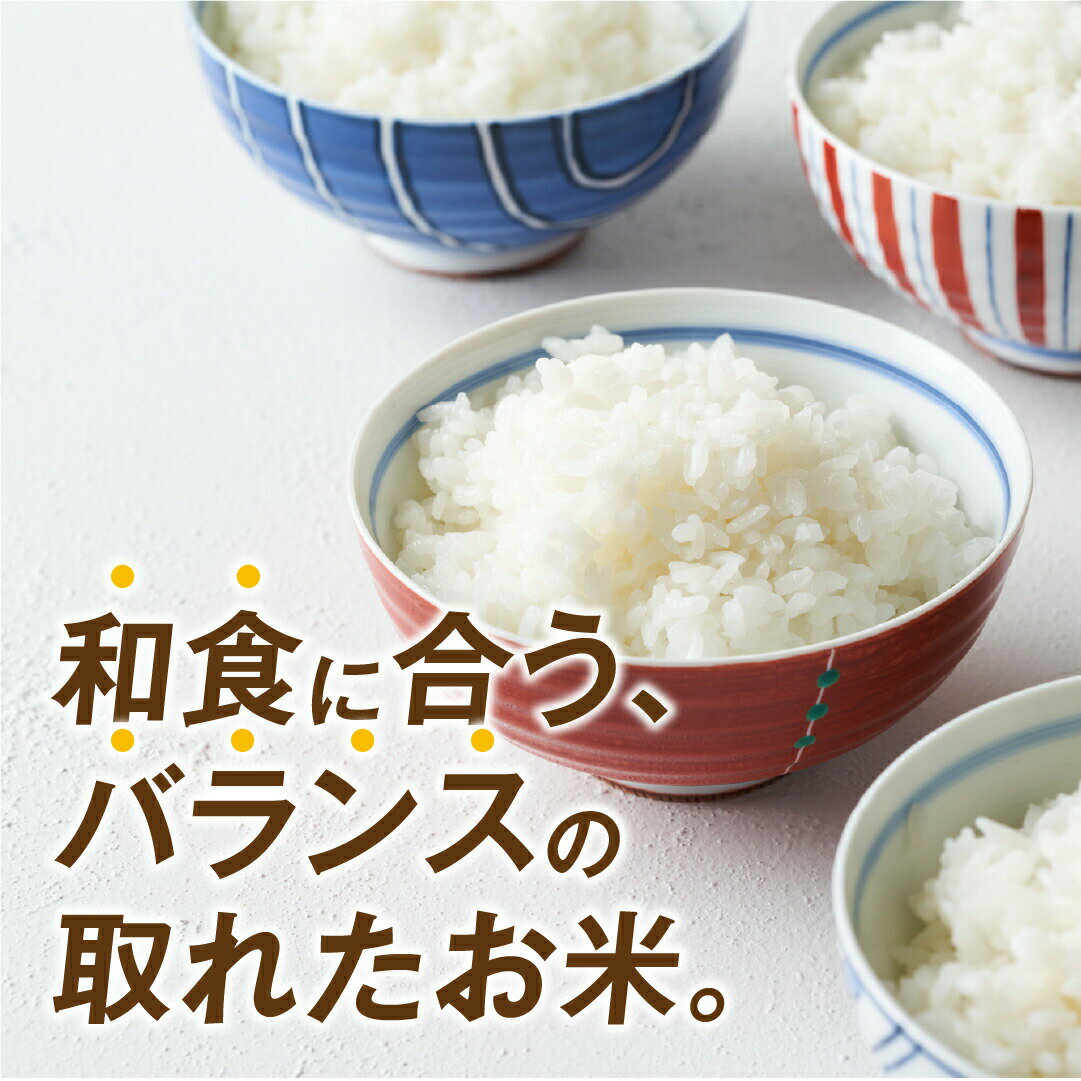 【ふるさと納税】【令和5年産】田村市産 ひとめぼれ 20kg ( 5kg × 4袋 ) お米 福島県 田村市 田村 贈答 美味しい 米 kome コメご飯 特Aランク 一等米 単一米 精米 国産 おすすめ ふぁせるたむら