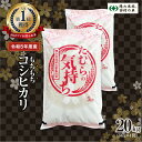 【ふるさと納税】【令和5年産】田村産 コシヒカリ20kg(5