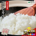 【ふるさと納税】【令和6年産】回数が選べる定期便 田村産 コシヒカリ 10kg ( 5kg × 2袋 ) 2〜6回 毎月お届け お米 一等米 白米 精米したてを...
