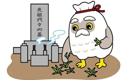 ふるさと田村市の墓地清掃・お墓参り代行サービス(3回) TE0-1