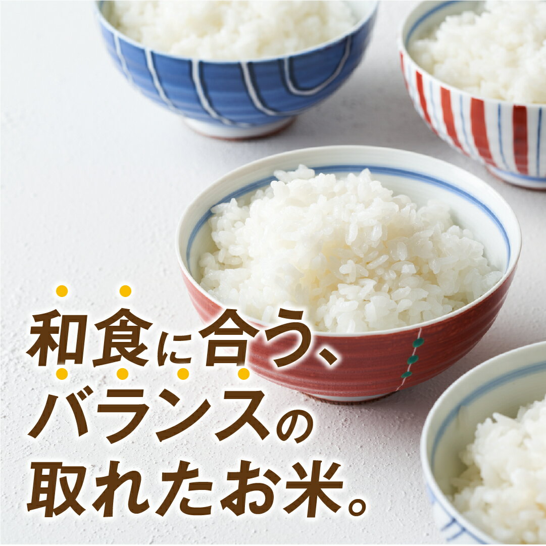 【ふるさと納税】【令和5年産】田村市産 ひとめぼれ5kg & 田村産 コシヒカリ5kg 計10kg お米 食べくらべ 福島県 田村市 贈答 美味しい 米 kome コメご飯 特Aランク 一等米 単一米 精米 国産 おすすめ 送料無料 ふぁせるたむら