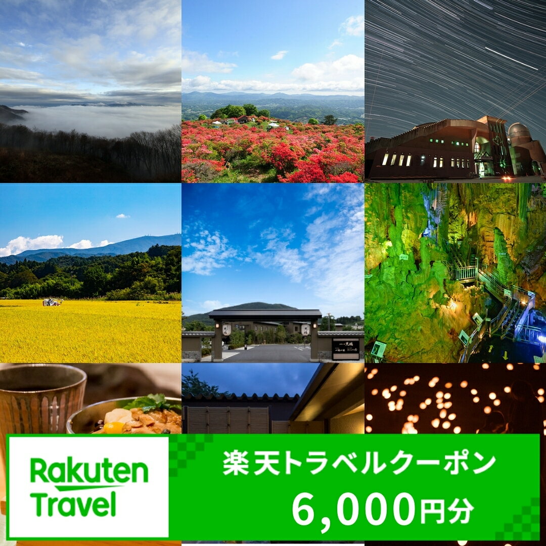 【ふるさと納税】福島県田村市の対象施設で使える楽天トラベルクーポン 寄付額20,000円 （ クーポン 6,000円分 ） 旅行 旅行券 トラベル 出張 予約 チケット 宿泊 観光 温泉 旅館 福島県 田村市 【 利用可能期間3年間 】