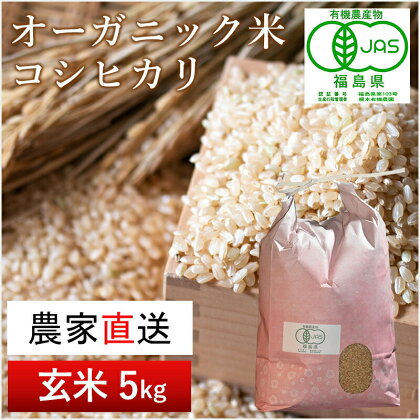 【令和5年産米】南相馬・根本有機農園のJAS有機米コシヒカリ5kg（玄米）【30040】