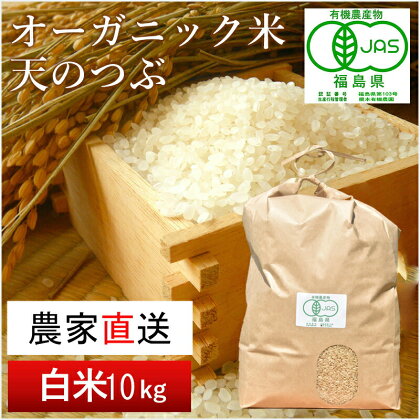 【令和5年産米】南相馬・根本有機農園のJAS有機米天のつぶ10kg（白米）【30044】