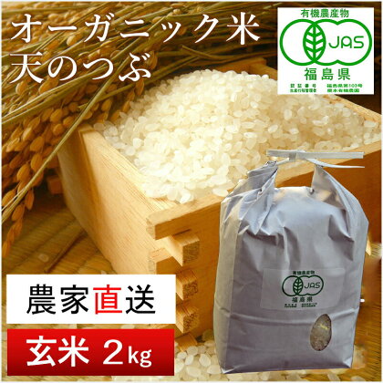 【令和5年産米】南相馬・根本有機農園のJAS有機米天のつぶ2kg(玄米）【30045】