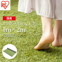 【ふるさと納税】ゴルフ 人工芝 ロール 1m×2m 芝丈30mm ロングパイル人工芝 芝生 日本製 国産 福島県 マット 庭 ベランダ バルコニー 駐車場 DIY 芝生 ドッグラン 耐久性 防草対策 リフォーム アイリスオーヤマ【4701001】