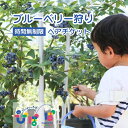 【ふるさと納税】ブルーベリーパーク ぴぽぱ ペアチケット ブルーベリー 狩り 2名 体験 入園券 無料券 夏季限定【121237-001】