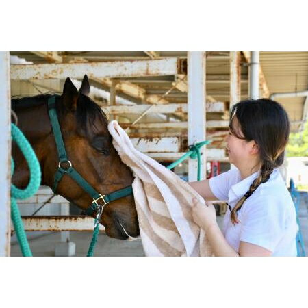 【ふるさと納税】初心者向け　馬と仲良くなれるミニ講習＆乗馬体験コース（60分程度）【43001】