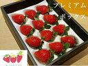 【ふるさと納税】【限定】伊賀いちご園のプレミアムボックス(厳