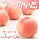 【ふるさと納税】\数量が選べる/【2026年出荷分先行予約】福島県産 川中島白桃 約3kg 約5kg ふくしま未来農業協同組合 特秀 透過式光センサー選別 白桃 大玉 伊達の桃 桃 フルーツ 果物 もも モモ momo F20C-126var