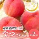 【ふるさと納税】【2026年出荷分先行予約】福島県産 なつっこ 約2kg (5~9玉) 遠藤果樹園 贈り物 贈答 ギフト 伊達の桃 桃 フルーツ 果物 もも モモ momo F21C-006