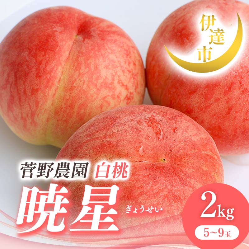 【ふるさと納税】2025年出荷分 先行予約 福島県産 暁星 2kg 2025年7月上旬~2025年7月下旬発送 先行予約 予約 伊達の桃 伊達市 桃 贈り物 贈答 ギフト もも モモ 果物 くだもの フルーツ 国産 食品 F21C-013