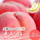 【ふるさと納税】【2026年出荷分先行予約】福島県産 まどか 約2.3kg (7~9玉) 大橋ふぁーむ 伊達の桃 桃 贈り物 贈答 ギフト フルーツ 果物 もも モモ momo F21C-014