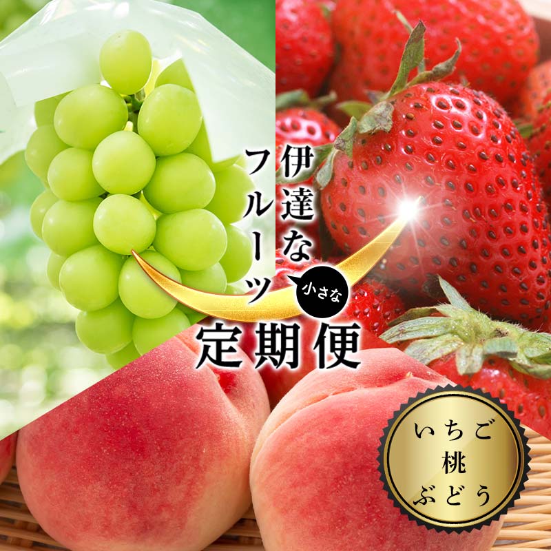 【ふるさと納税】＜2026年から開始の定期便＞伊達な小さなフル－ツ定期便 (いちご約500g・桃約1kg・ぶどう1房) 果物 フルーツ 桃 モモ 苺 イチゴ 葡萄 ブドウ 福島県 伊達市 F21C-019