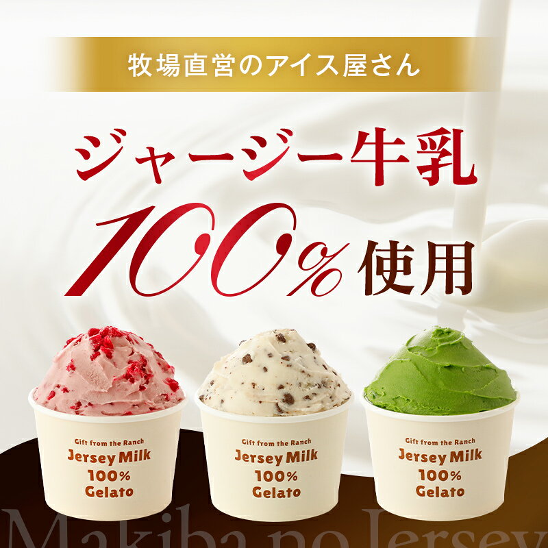 【ふるさと納税】【選べるセット】《ジャージー牛乳使用》まきばのジャージーアイス 人気のフレーバーセット（140mL）6個 8個 F21C-035var f072133-date-10000729 福島県伊達市 サンプル画像3