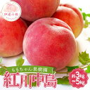 【ふるさと納税】\選べる容量/【2026年出荷分先行予約】福島県産 紅川中島 約3kg 約5kg ももちゃん果樹園 自慢の桃 伊達の桃 桃 フルーツ 果物 もも モモ momo F21C-044var