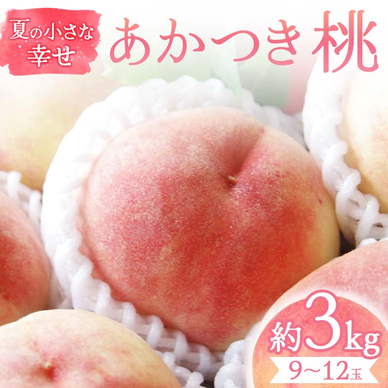 【ふるさと納税】夏の小さな幸せ 桃「あかつき」約3kg(9~12玉) 桃 もも モモ 果物 くだもの フルーツ 国産 食品 F21C-067