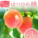 【ふるさと納税】【2026年出荷分先行予約】福島県産 はつひめ 約3kg (9~12玉) 福島の桃農家ペシェエラ 夏の小さな幸せ 伊達の桃 桃 フルーツ 果物 もも モモ momo F21C-068