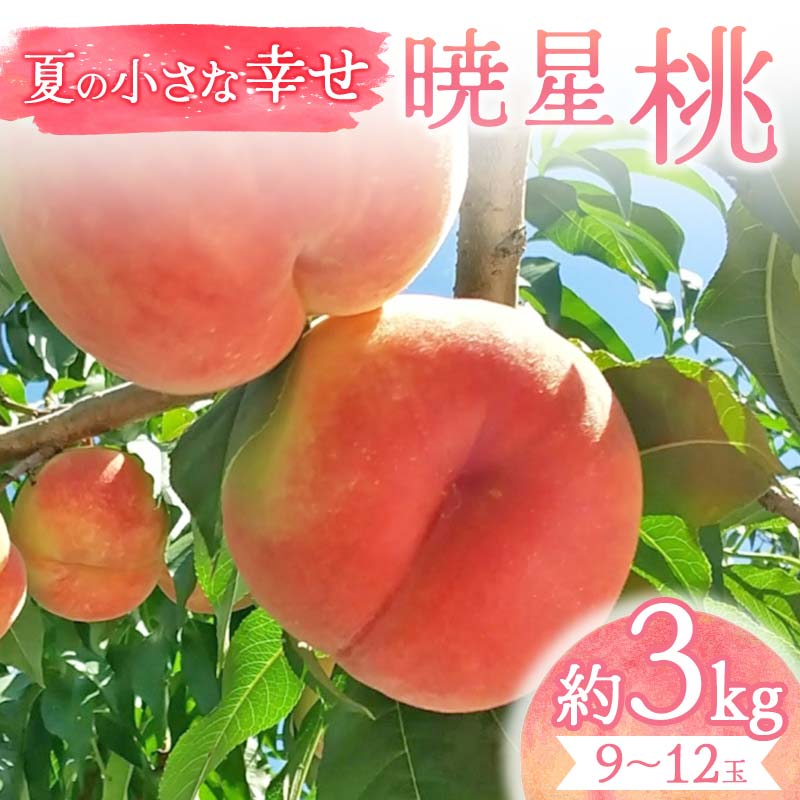 【ふるさと納税】夏の小さな幸せ 桃「暁星」約3kg(9~12玉) 桃 もも モモ 果物 くだもの フルーツ 国産 食品 F21C-070