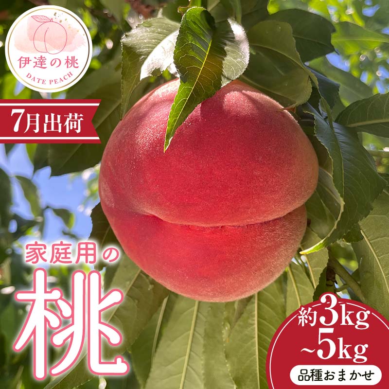 【ふるさと納税】＼選べる容量／【2026年出荷分先行予約】 福島県産 家庭用の桃 品種おまかせ 約3kg 約5kg (7月出荷分) 農業生産法人種まきうさぎ株式会社 伊達市の桃 桃 フルーツ 果物 もも モモ momo F21C-081var