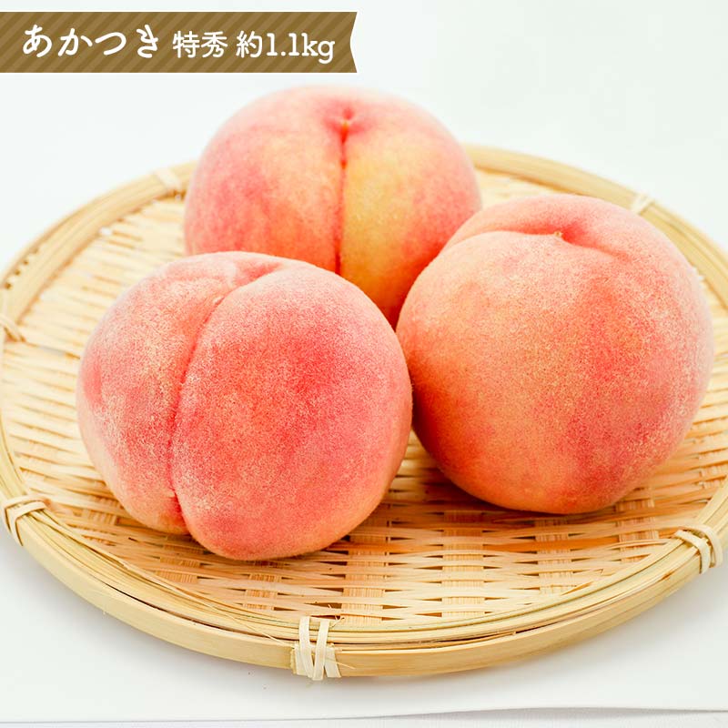 【ふるさと納税】福島のフルーツ お試し 桃といちごの定期便（あかつき約1.1kg・とちおとめ500g） 桃 あかつき 特秀 いちご とちおとめ 定期便 伊達の桃 もも モモ 果物 くだもの フルーツ 国産 名産 食品 F21C-085
