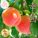 【ふるさと納税】\選べる容量/【2026年出荷分先行予約】福島県産 幸茜 約2kg 約3kg 約5kg 佐藤俊博 大きく固め 夏の終わりの桃 伊達の桃 桃 フルーツ 果物 もも モモ momo F21C-125var