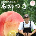【ふるさと納税】\選べる容量/【2026年出荷分先行予約】福島県産 あかつき 約2kg 約3kg KING OF PEACHESS 伊達の桃 桃 フルーツ 果物 もも モモ momo F21C-131var