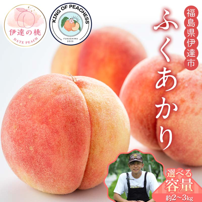 【ふるさと納税】\容量が選べる/キングオブピーチ 桃 「ふくあかり」約2kg~3kg ふくあかり 伊達の桃 桃 もも モモ 果物 くだもの フルーツ 国産 食品 F21C-135var