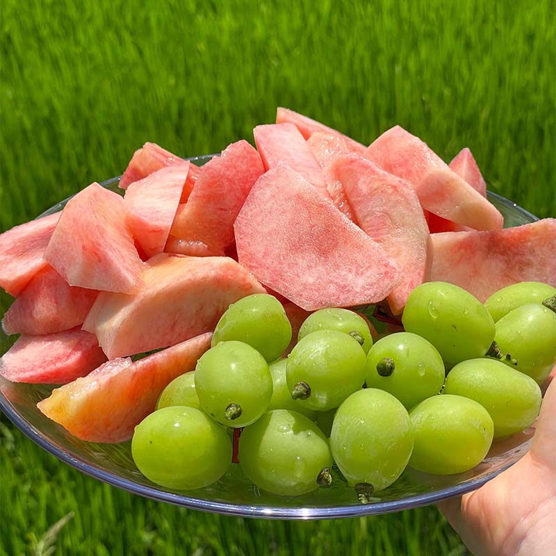 【ふるさと納税】＼容量が選べる／キングオブピーチ 桃 「川中島白桃」約2kg～3kg 川中島白桃 伊達の桃 桃 もも モモ 果物 くだもの フルーツ 国産 食品 F21C-145var