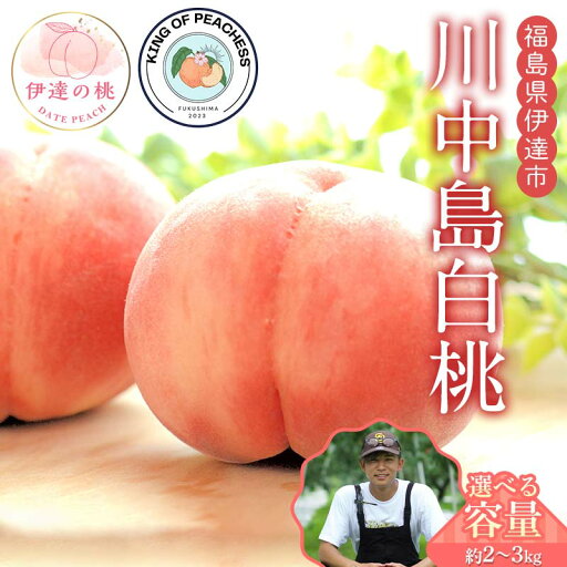 【ふるさと納税】\容量が選べる/キングオブピーチ 桃 「川中島白桃」約2kg~3kg 川中島白桃 伊達の桃 桃 もも モモ 果物 くだもの フルーツ 国産 食品 F21C-145var 【ふるさと納税】\容量が選べる/キングオブピーチ 桃 「川中島白桃」約2kg~3kg 川中島白桃 伊達の桃 桃 もも モモ 果物 くだもの フルーツ 国産 食品 F21C-145var
