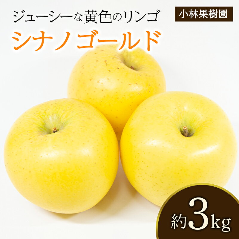 [小林果樹園] 福島県伊達市産 黄色いりんご シナノゴールド 約3kg F21C-536