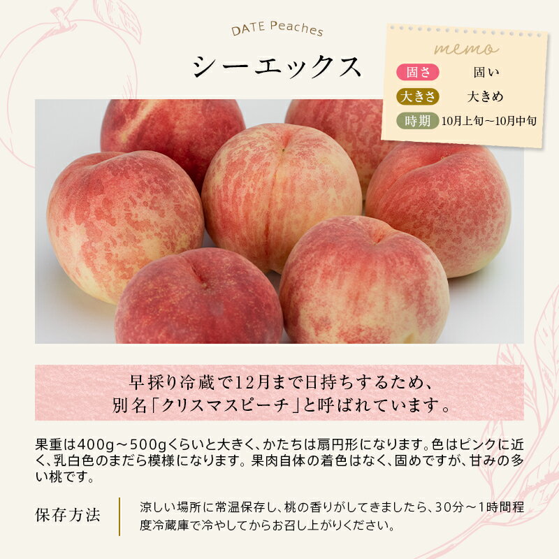 【ふるさと納税】《先行予約》 福島の桃 シーエックス 3kg （6～10玉） 桃 もも モモ 新品種 果物 フルーツ ふるさと納税 予約 福島県 伊達市 F20C-444