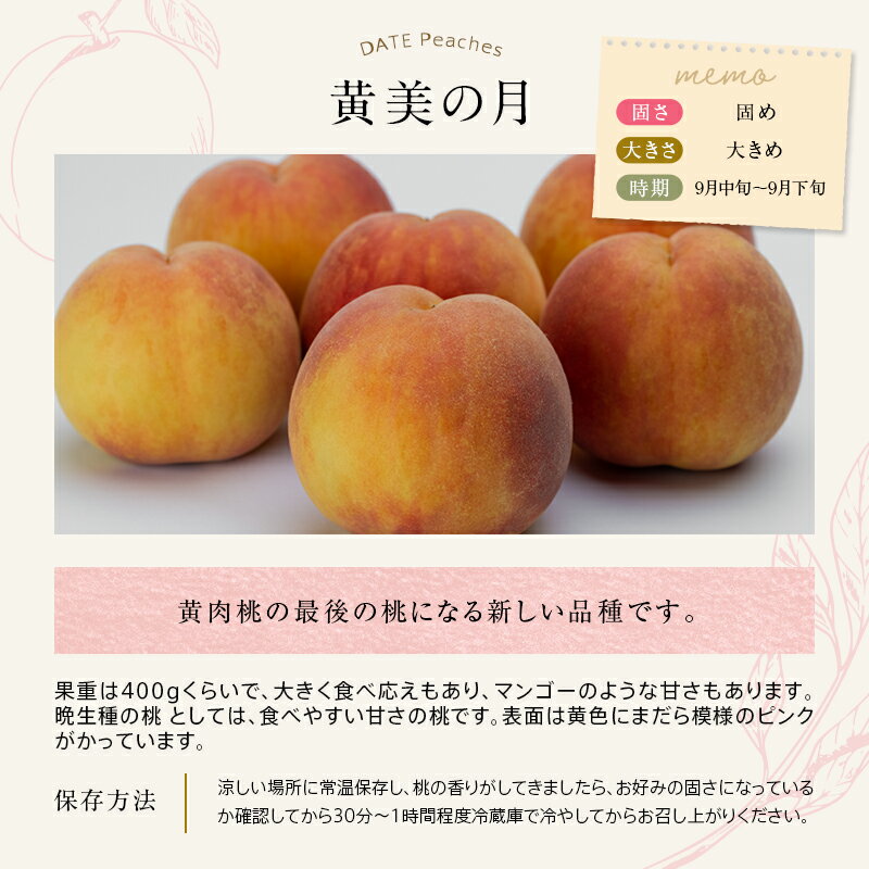 【ふるさと納税】《先行予約》 福島の桃 黄美の月 2kg（5～7玉） 桃 もも モモ 黄桃 極晩生 新品種 糖度 果物 フルーツ ふるさと納税 予約 福島県 伊達市 F20C-464