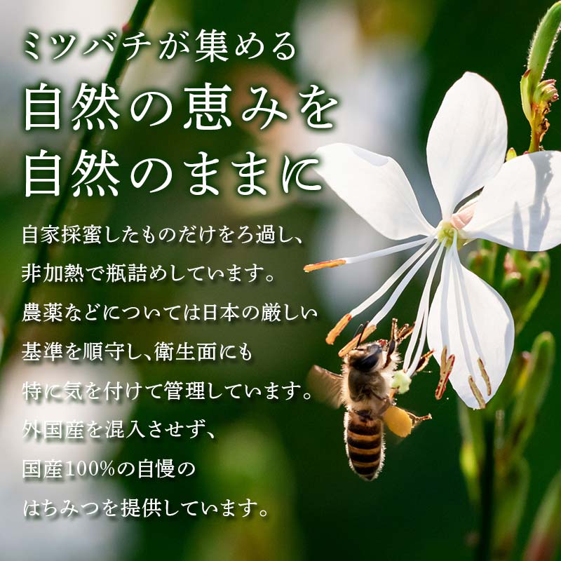 福島県伊達市の画像2