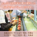 福島県伊達市の画像2