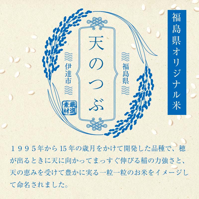 【ふるさと納税】 【訳あり】＼選べる定期回数／令和7年産米 伊達市産 天のつぶ 玄米 5kg 単品・2回・3回 ご飯 ごはん ライス 伊達市 F21C-391var